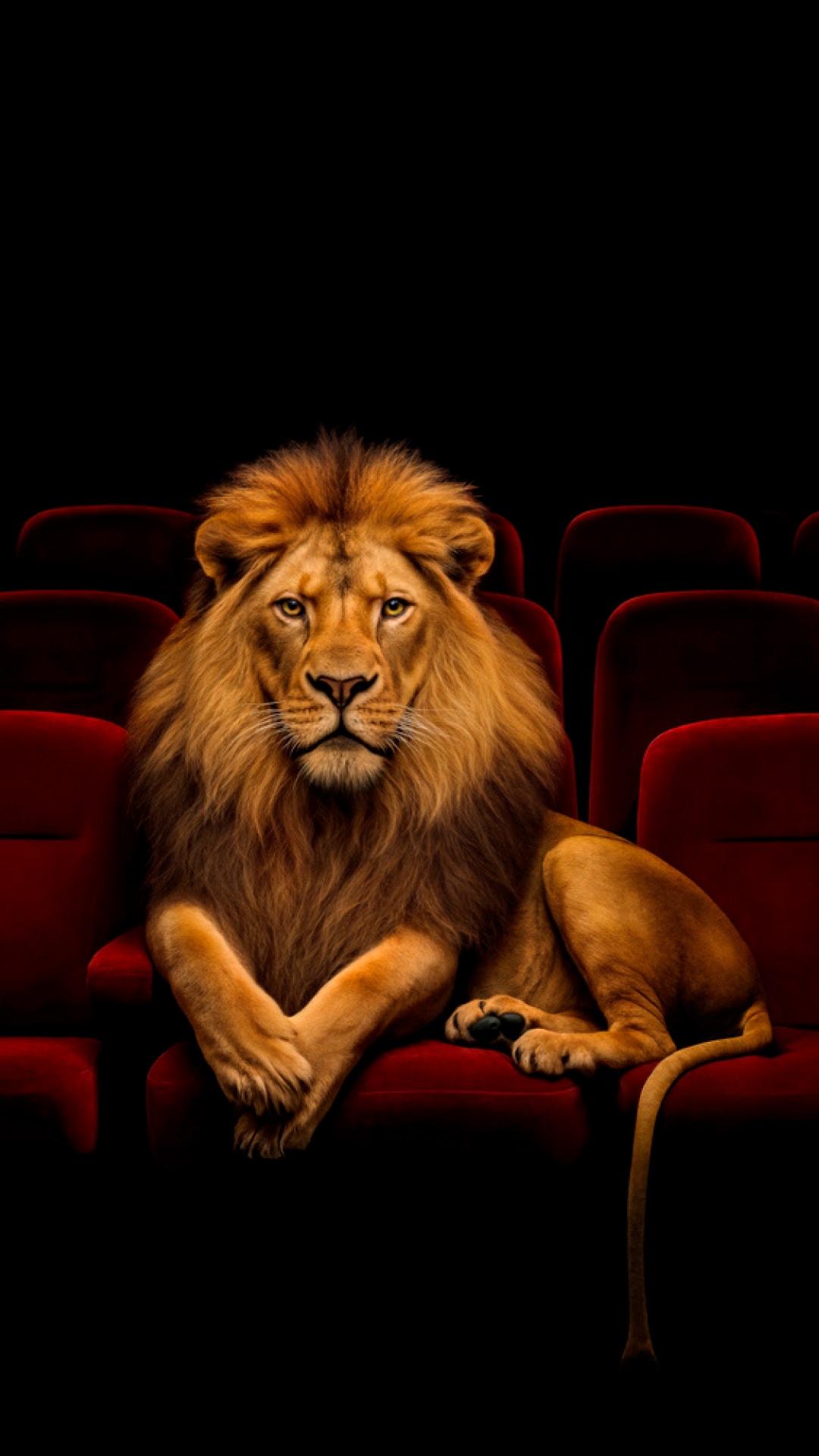 Leão em bancos de cinema
